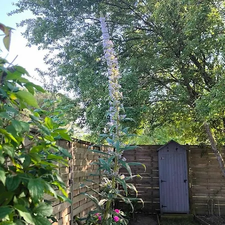 A Deux Pas Des Plages Un Cocon Pour En Famille Ou Entre Amis 度假居 *