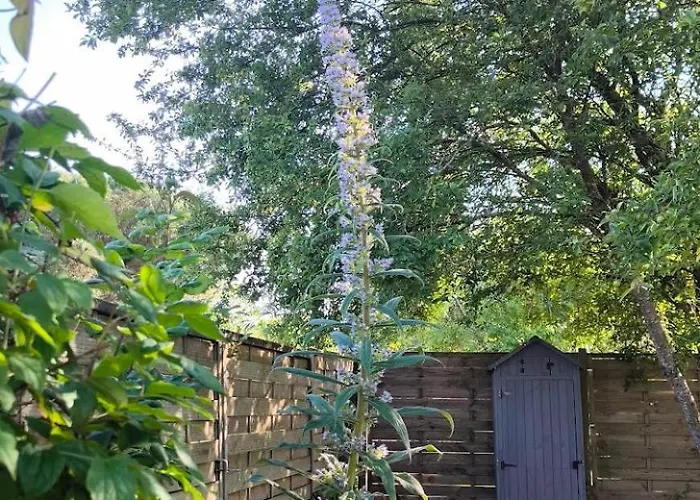 A Deux Pas Des Plages Un Cocon Pour En Famille Ou Entre Amis Сasa de vacaciones *